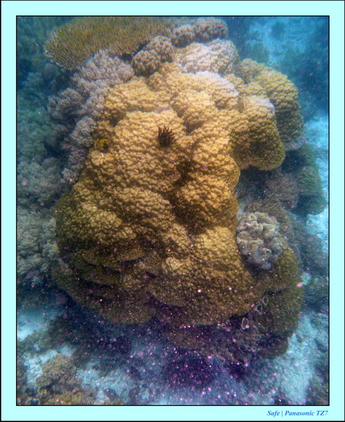 2009    07    Manatabuan 22